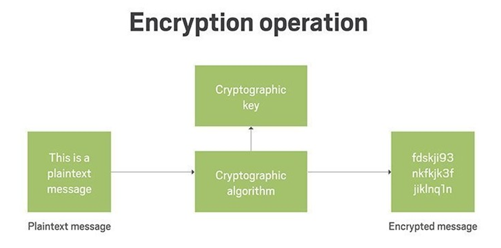 Ошибка операции криптографии. Абонентское шифрование относится к. Шифрование web. Cryptographic algorithms. What is a cryptographic.